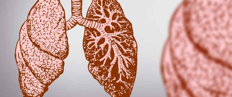 COPD Lunge Symptome