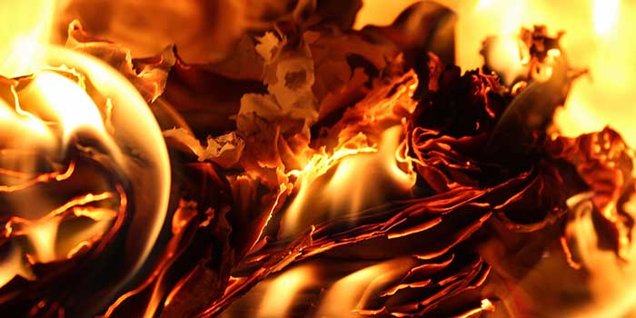Ökologie unter Feuer - Die Trocknung des Virginia-Tabaks Ökologie unter Feuer - Die Trocknung des Virginia-Tabaks